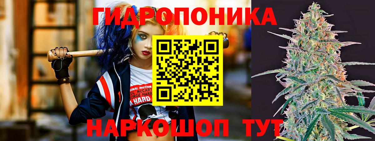 Марихуана сатива  МАРИХУАНА White Widow  Вход с VPN  Канабис SATIVA & INDICA  Бошки марихуана марихуана  Учалы 